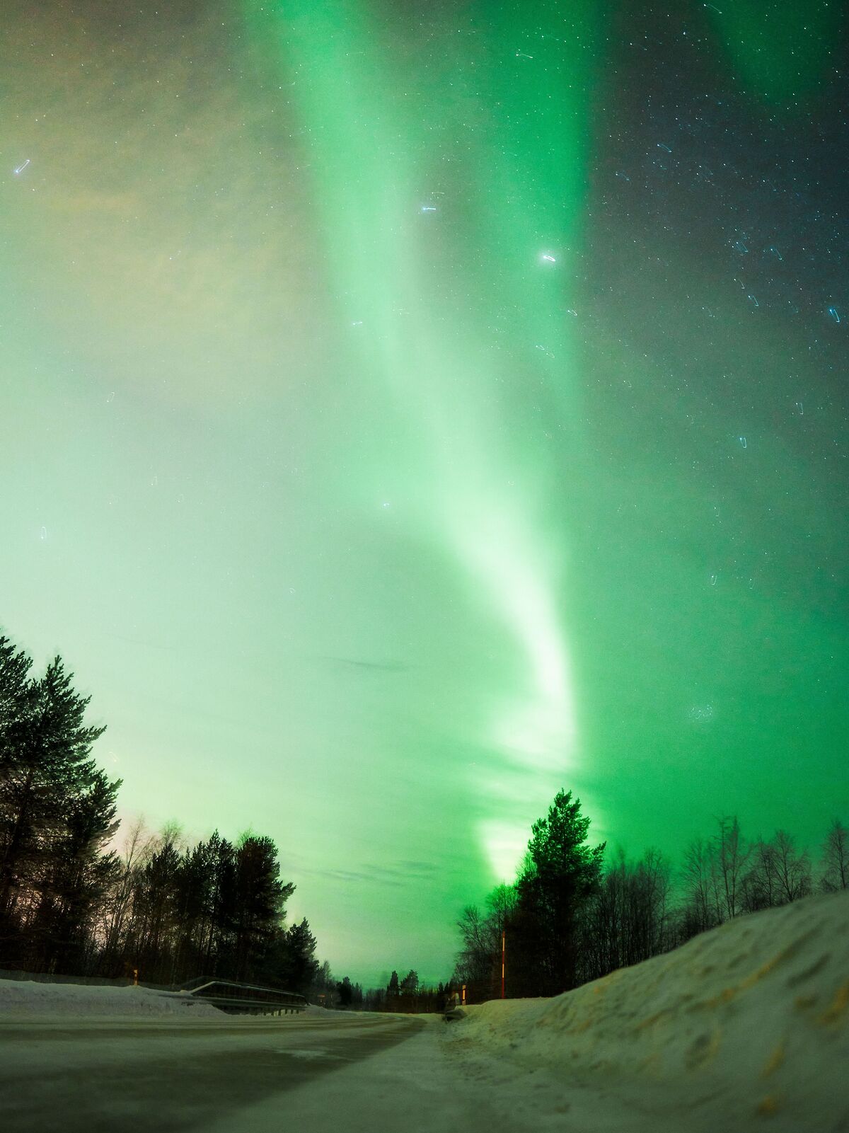L'Aurora Borealis brille en vert et bleu ciel sur un paysage neigeux avec des arbres.