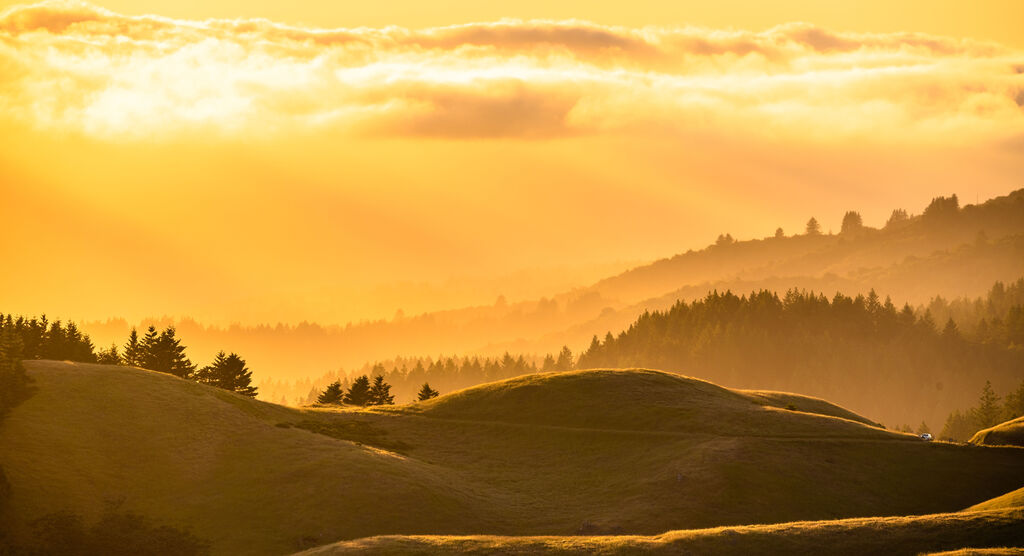 Le soleil doré, bas dans le ciel, sur un paysage vallonné parsemé de prairies et de forêts. La brume se lève.