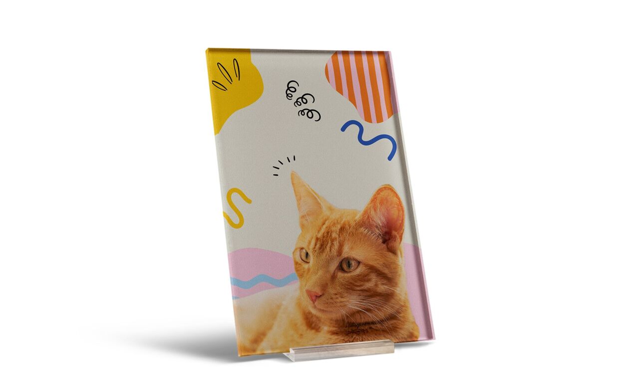 Tableau photo sous plexi;