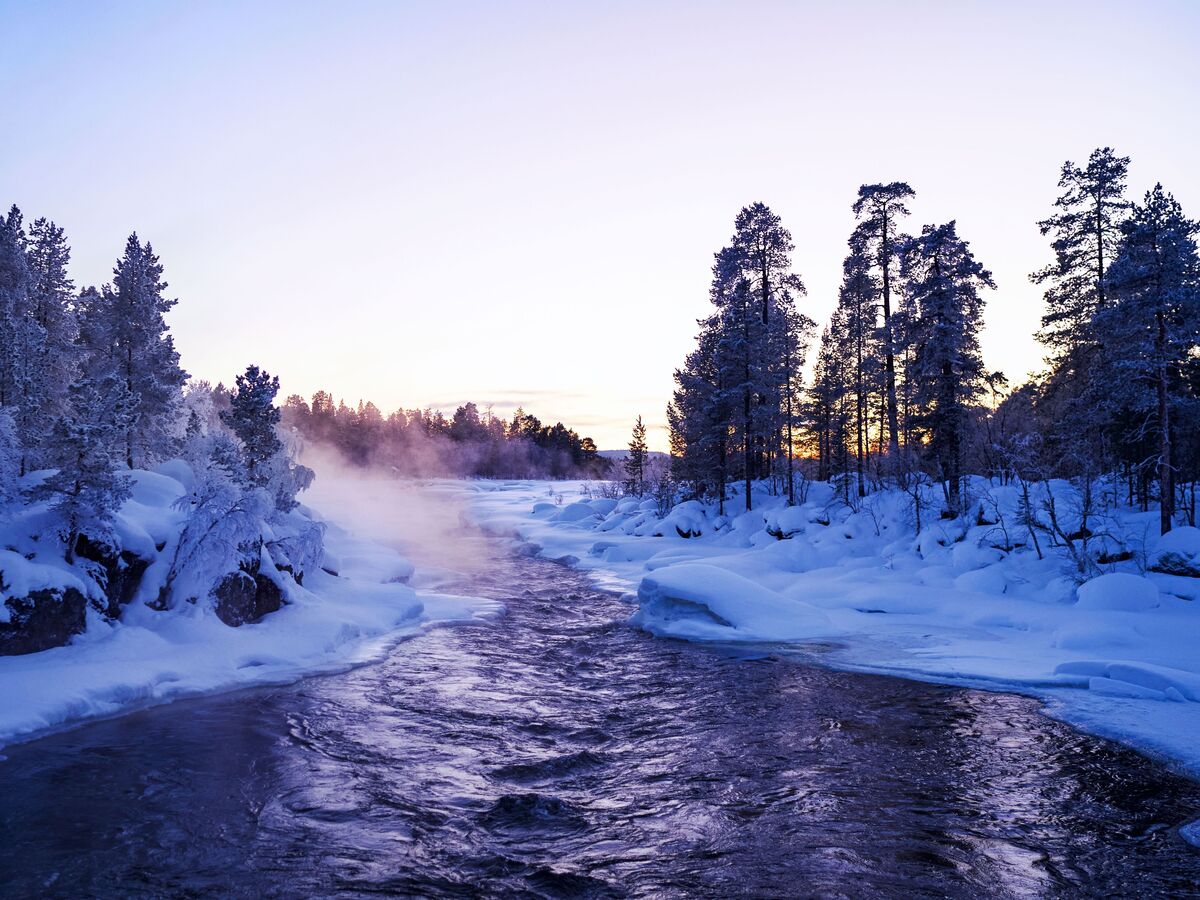 Une rivière d'hiver, entourée d'arbres enneigés et de la douce vapeur au crépuscule.
