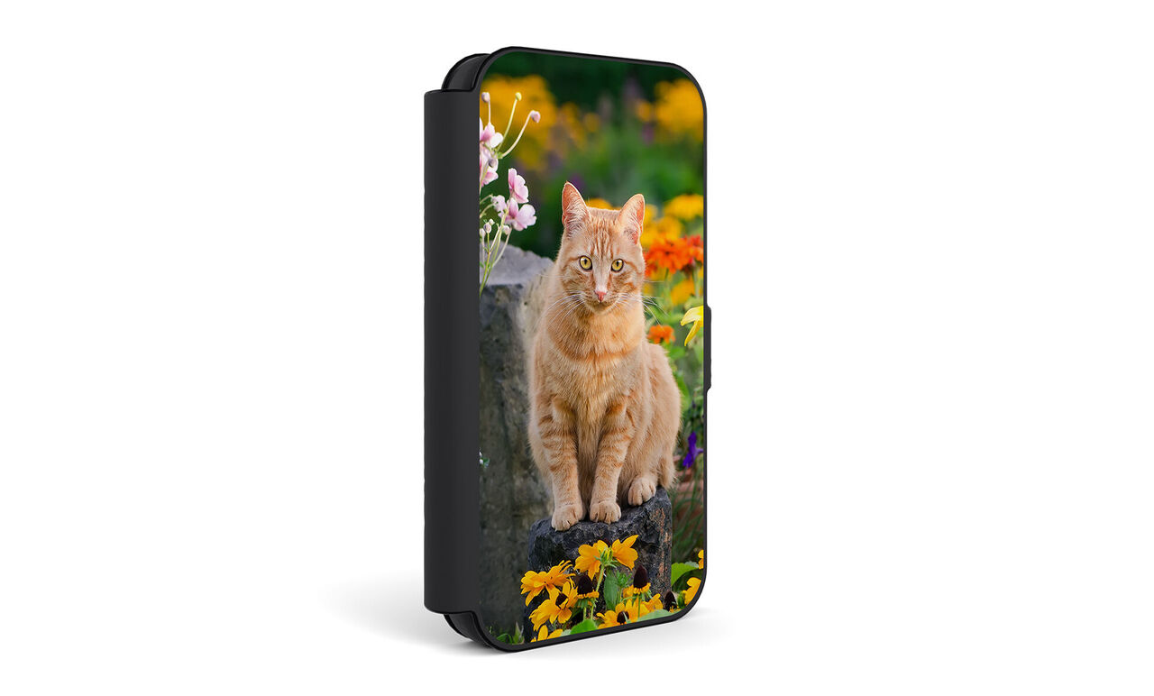 Cover premium