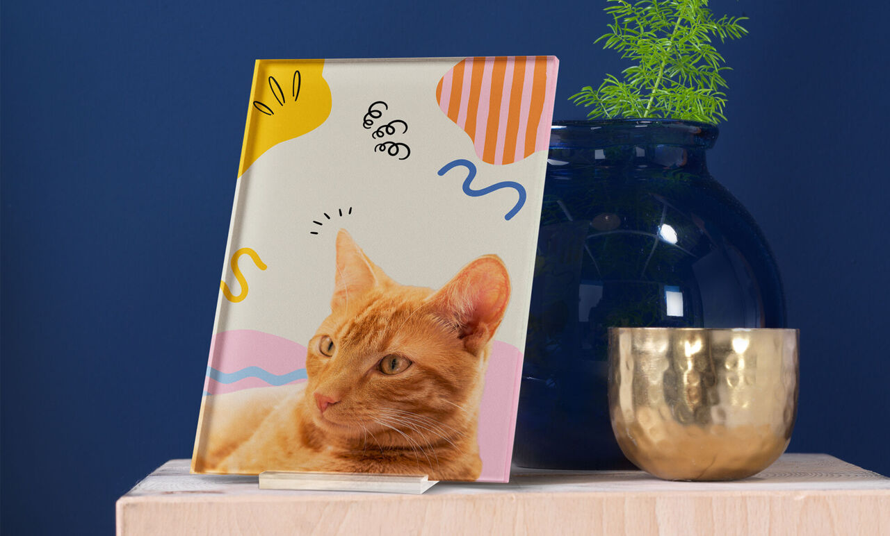 Poster in plexiglass
