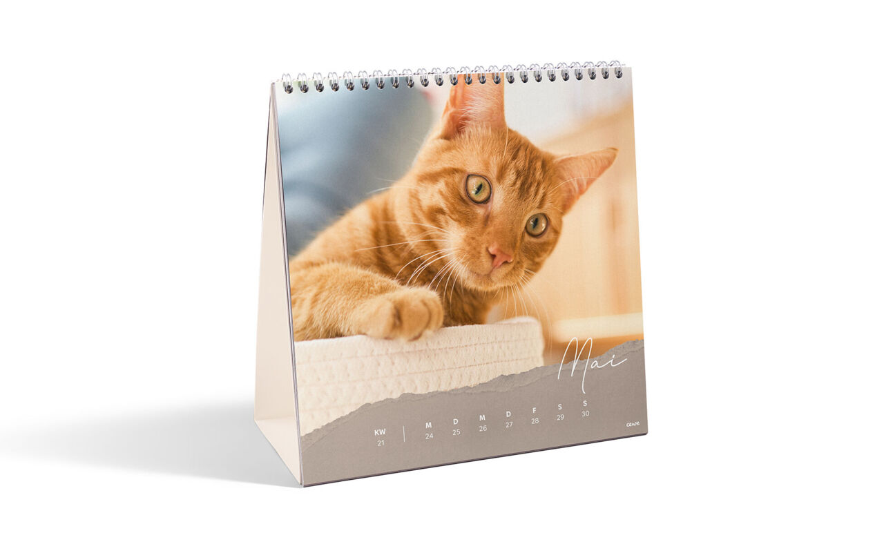 Calendario da tavolo Quadrato
